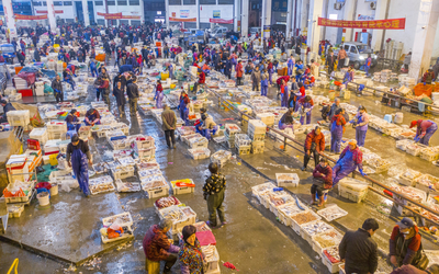 新春走基层 | 夜探繁忙的水产品批发市场