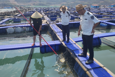 节前水产品质量检查 守护舌尖上的安全