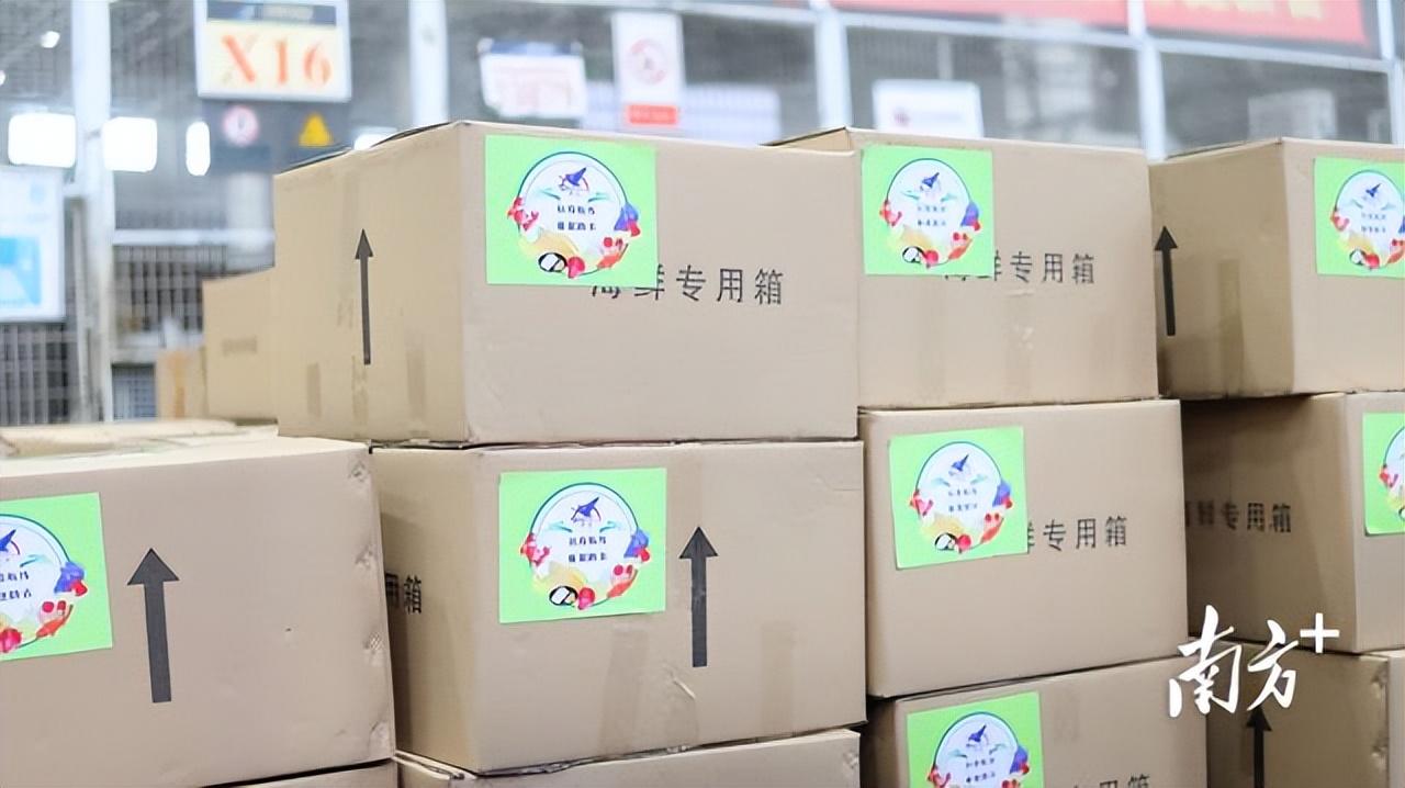 视频 | 千里送虾苗不误养虾时,广东“抗疫航线”保供江浙市场