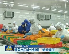 今晚,青岛胶州一家水产企业上了央视新闻联播 足足3分钟 表扬 ,被点名的还有