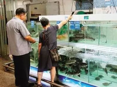 产地标识+检测报告--佛山淡水鲜活水产品质量安全监管升级加码