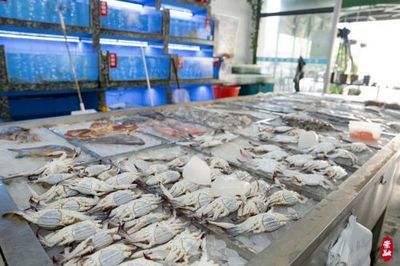 梭子蟹、竹节虾、方板鱼…今年第一网东海海鲜登陆崇明