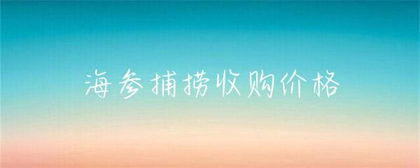 海参捕捞收购价格
