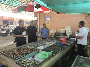 乳山市政府 业务工作 乳山市海洋发展局两部门联合检查水产品市场