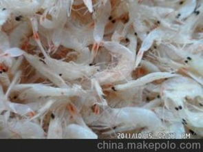 水产品代加工供应商,价格,水产品代加工批发市场 
