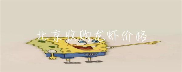 北京收购龙虾价格