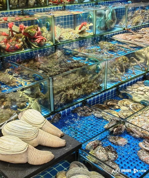 老广年货图鉴 坚果 禽类进货量激增,海鲜 年宵花购销两旺
