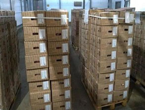 新疆进口哈萨克斯坦牛肉供应商厂号名单