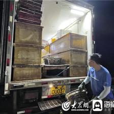 渤海湾更鲜!京津冀等多地海产商前来东营广利渔港收购海鲜