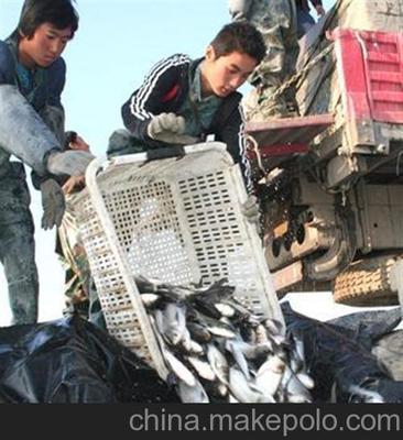 汉川市汈汊湖四叉水产养殖专业合作社 菜粕收购与水产养殖的协同发展